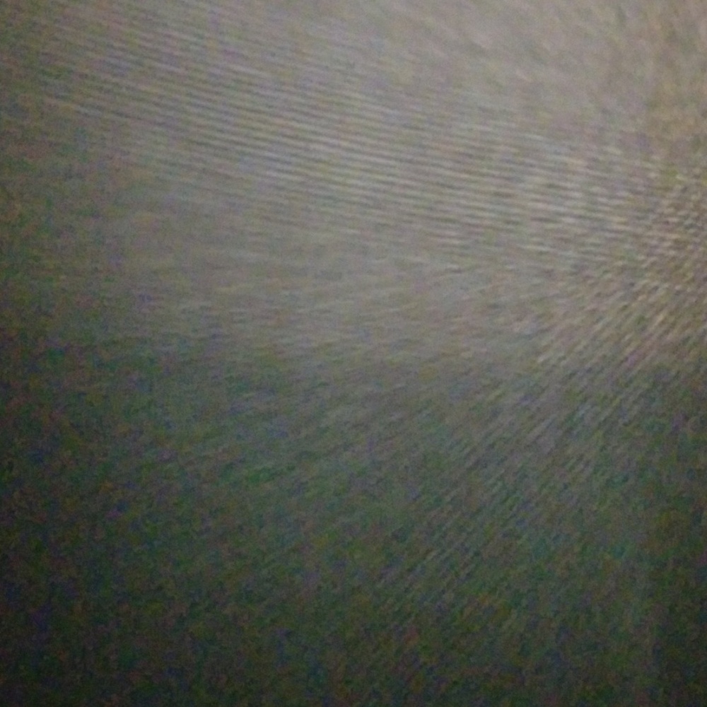 Pants - Picture 4 of 4